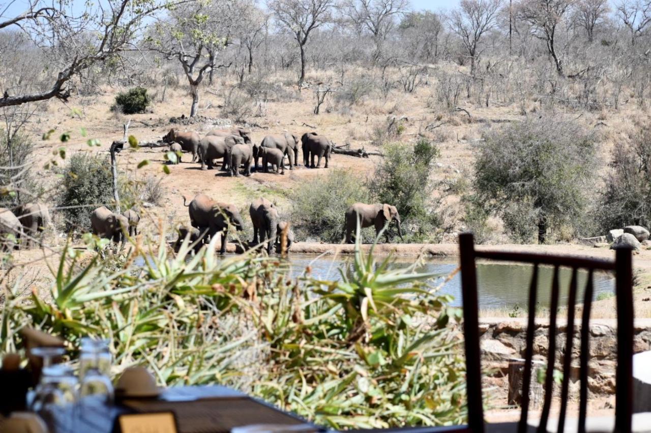 Milima Big 5 Safari Lodge Hoedspruit Exterior foto
